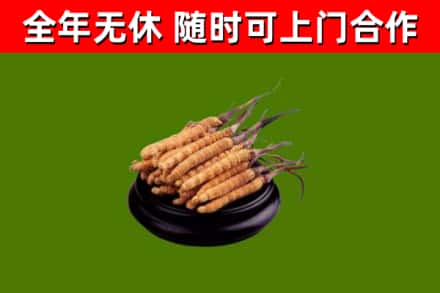 乐业县烟酒回收冬虫夏草.jpg